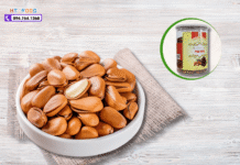 Hạt thông bán ở đâu tại Hà Nội? Địa chỉ bán hạt thông uy tín