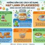 Hướng dẫn các cách ăn hạt lanh như thế nào để tốt cho sức khỏe? Huong dan cach an hat lanh tot