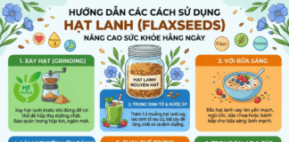 Hướng dẫn các cách ăn hạt lanh như thế nào để tốt cho sức khỏe? Huong dan cach an hat lanh tot