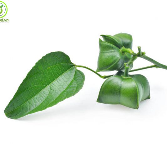 Tác dụng của lá Sachi | Lá sachi có công dụng gì?