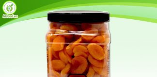 Những lợi ích của mơ sấy dẻo – sấy khô bạn có biết?