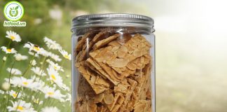 Mua bánh ngói hạnh nhân ở đâu ngon và giá rẻ nhất?