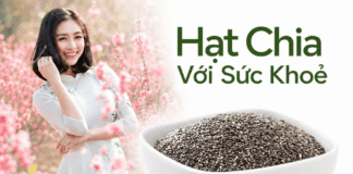 Hạt chia mua tại Lào Cai ở đâu uy tín, dễ đặt hàng? Mua hat chia o dau Lao Cai