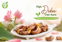 Mua hạt điều ở đâu ngon? Kinh nghiệm chọn hạt điều chất lượng! Mua hat dieu o dau chat luong