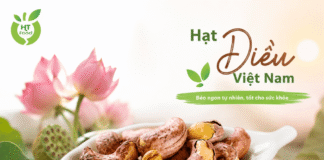 Mua hạt điều ở đâu ngon? Kinh nghiệm chọn hạt điều chất lượng! Mua hat dieu o dau chat luong