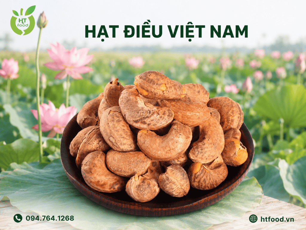 Mua hat dieu o dau ngon