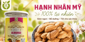 Mua hạt hạnh nhân Mỹ ở đâu uy tín? Gợi ý địa chỉ tốt nhất! Mua hat hanh nhan My tai dau chat luong