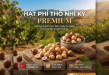 Mua hạt phỉ ở đâu tại Tphcm uy tín – chất lượng đảm bảo?