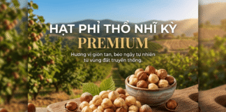 Mua hạt phỉ ở đâu tại Tphcm uy tín – chất lượng đảm bảo?