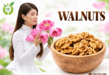 Mua quả óc chó ở đâu để lựa chọn hạt ngon với giá hợp lý? Mua qua oc cho o dau uy tin