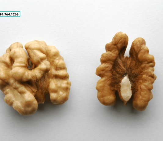 Quả óc chó mua ở đâu Bình Tân? Địa chỉ uy tín cho bạn!