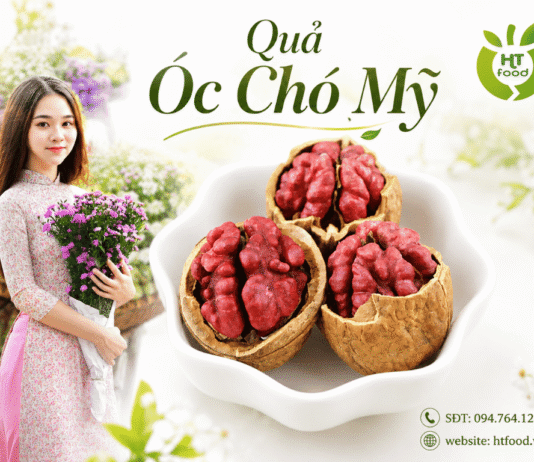 Quả óc chó mua ở đâu tại Tp Huế uy tín? Quả óc chó chất lượng Mua qua oc cho tai Hue