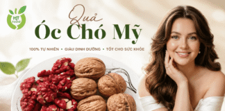 Địa điểm mua quả óc chó ở đâu Lào Cai uy tín – chất lượng Mua qua oc cho tai Lao Cai