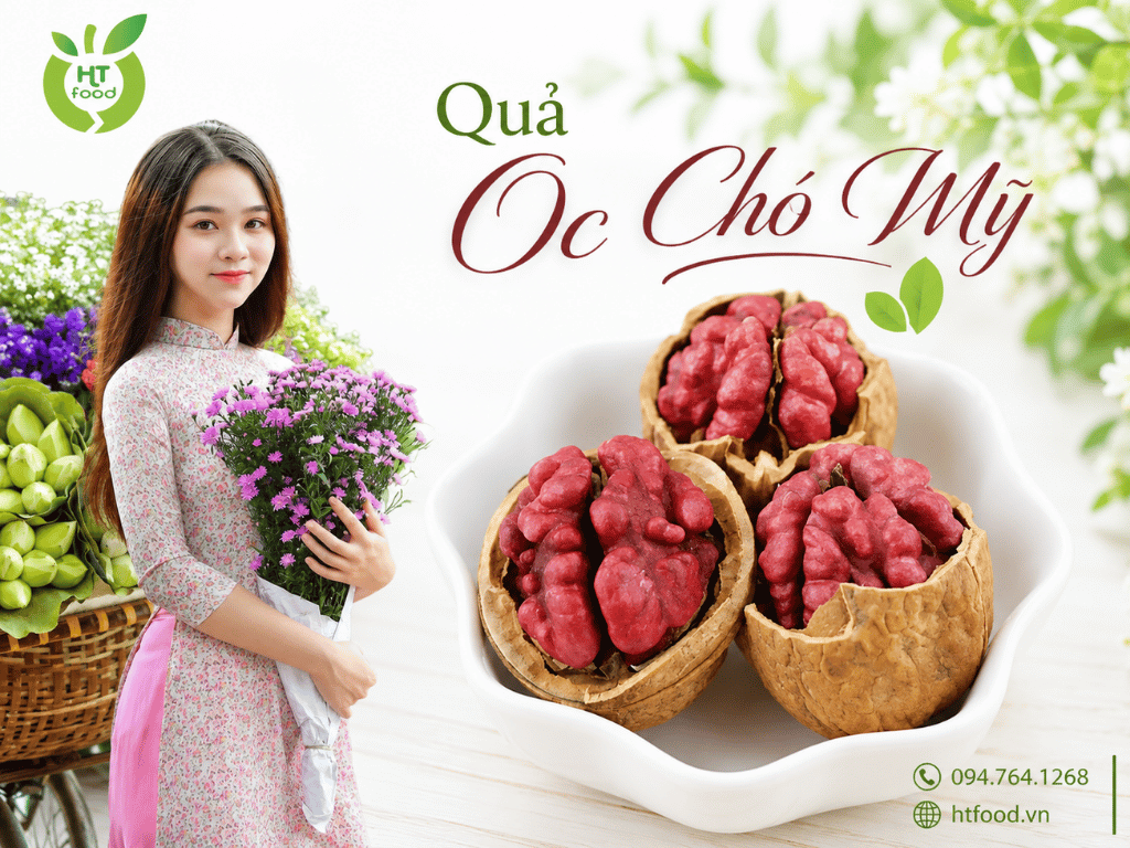 Mua qua oc cho tai Quang Ninh