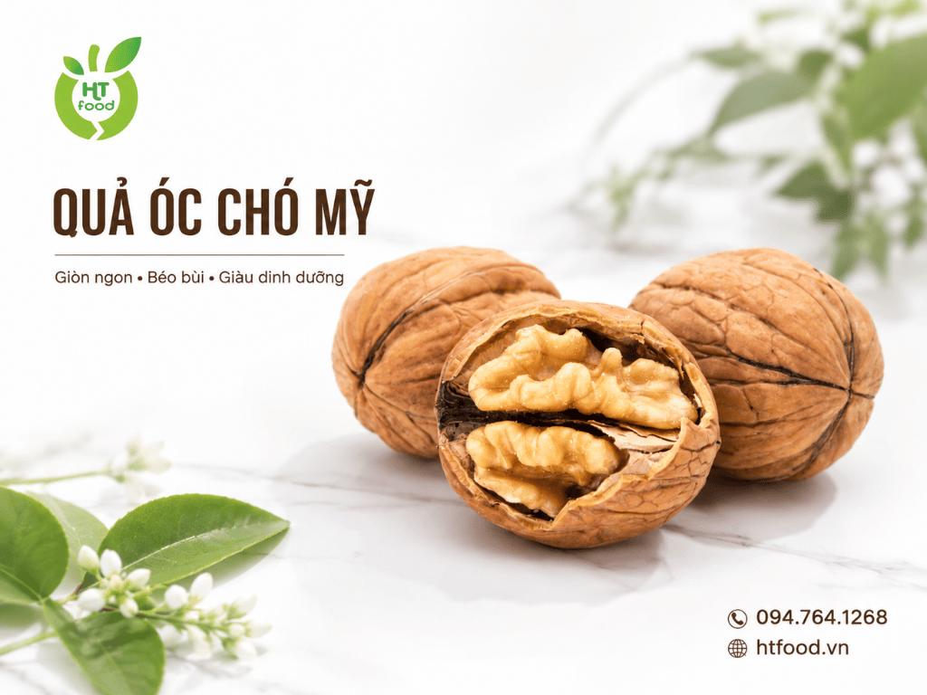 Mua qua oc cho tai Thanh Hoa