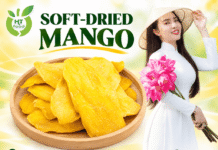 Mua xoài sấy dẻo ở đâu Hà Nội uy tín – giữ trọn vị tự nhiên? Mua xoai tai Ha Noi ngon
