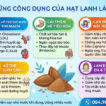 Công dụng của hạt lanh hữu cơ là gì? Cách sử dụng hạt lanh!