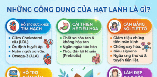 Công dụng của hạt lanh hữu cơ là gì? Cách sử dụng hạt lanh!