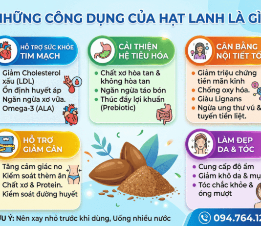 Công dụng của hạt lanh hữu cơ là gì? Cách sử dụng hạt lanh!