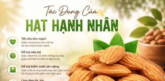 Hạt hạnh nhân có tác dụng gì? Lợi ích tuyệt vời cho sức khỏe! Nhung tac dung cua hat hanh nhan