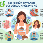 Hạt lanh có tác dụng gì với phụ nữ? Công dụng bất ngờ bạn cần biết!