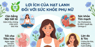 Hạt lanh có tác dụng gì với phụ nữ? Công dụng bất ngờ bạn cần biết!
