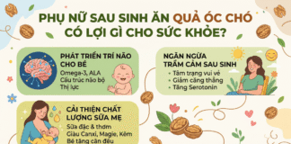 Phụ nữ sau sinh ăn quả óc chó có lợi gì cho sức khỏe? Phu nu an qua oc cho sau sinh
