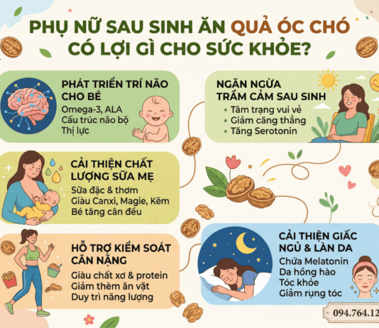 Phụ nữ sau sinh ăn quả óc chó có lợi gì cho sức khỏe? Phu nu an qua oc cho sau sinh