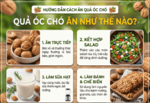 Quả óc chó ăn như thế nào? Cách dùng hiệu quả nhất!