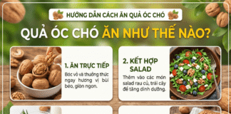 Quả óc chó ăn như thế nào? Cách dùng hiệu quả nhất!