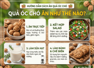 Quả óc chó ăn như thế nào? Cách dùng hiệu quả nhất!