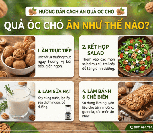 Quả óc chó ăn như thế nào? Cách dùng hiệu quả!