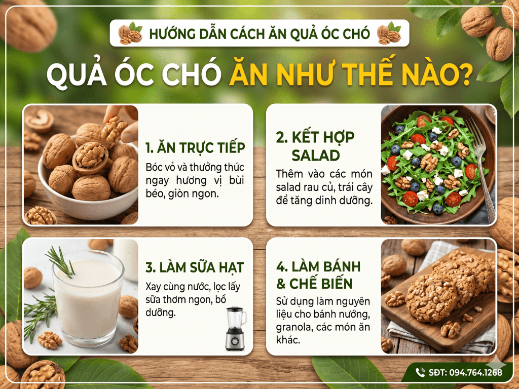 Qua oc cho an nhu the nao