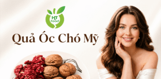 Quả óc chó bán ở đâu tại Hà Nội? Gợi ý địa chỉ đáng tin cậy! Qua oc cho ban o Ha Noi