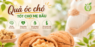 Quả óc chó tốt cho bà bầu & cách chế biến quả óc chó! Qua oc cho co tot cho me bau khong