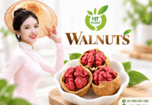Quả óc chó đỏ mua ở đâu để giữ trọn vị bùi tự nhiên? Qua oc cho do mua o dau