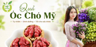 Quả óc chó mua ở đâu Thanh Hoá giá rẻ – giao hàng tận nơi? Qua oc cho mua o dau Thanh Hoa