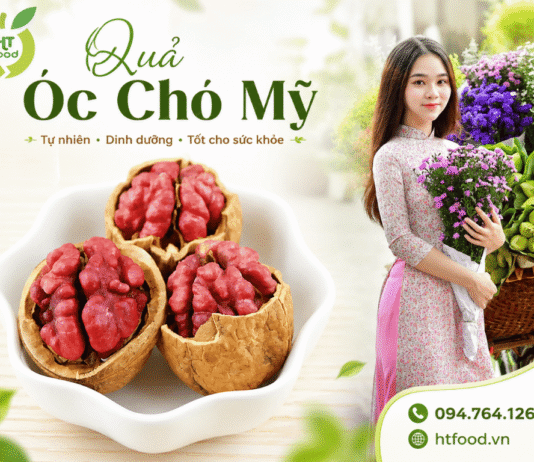 Quả óc chó mua ở đâu Thanh Hoá giá rẻ – giao hàng tận nơi? Qua oc cho mua o dau Thanh Hoa