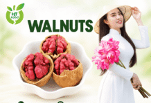 Quả óc chó mua ở đâu để dùng hằng ngày và làm quà biếu? Qua oc cho mua o dau chat luong