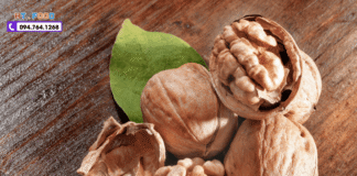 Quả óc chó mua ở đâu để đảm bảo hàng chuẩn, giá tốt? Qua oc cho mua o dau chat luong nhat