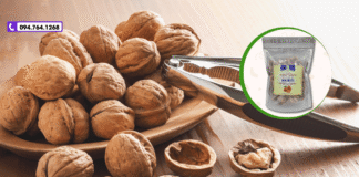 Quả Óc Chó Thanh Hoá – Mua Ở Đâu Uy Tín, Chất Lượng Cao?