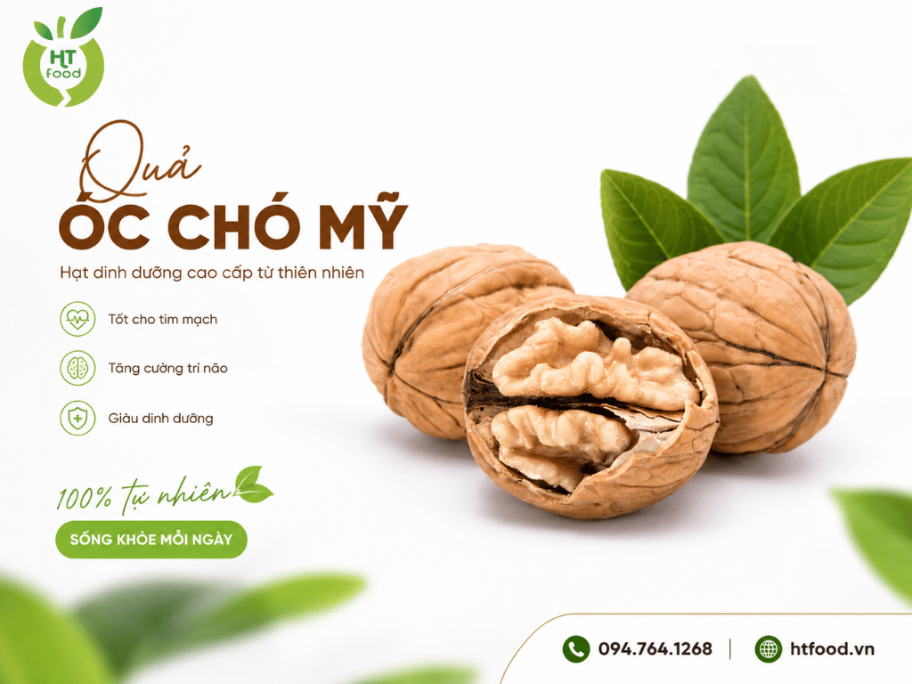 Qua oc cho tieng anh
