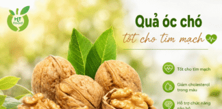 Người lớn tuổi ăn quả óc chó có lợi gì cho tim mạch?