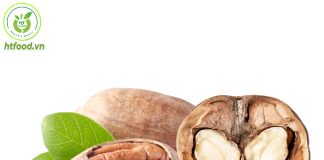 Quả óc chó và quả hồ đào | Phân biệt hạt hồ đào với quả óc chó! Phân biệt quả óc chó và quả hồ đào