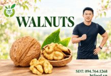 Quả óc chó có tác dụng gì cho nam giới? Những điều bạn cần biết! Qua oc cho voi nam