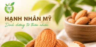 Tác dụng của hạt hạnh nhân: Bí quyết sống khỏe từ thiên nhiên Tac dung cua hat hanh nhan voi suc khoe