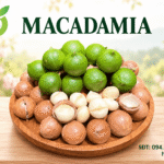 Tác dụng của hạt macca đối với sức khỏe: 13 lợi ích đáng chú ý Tac dung cua hat macca la gi