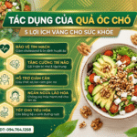 Tác dụng của quả óc chó: siêu thực phẩm giàu Omega-3