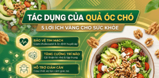 Tác dụng của quả óc chó: siêu thực phẩm giàu Omega-3