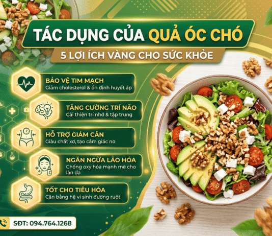Tác dụng của quả óc chó: siêu thực phẩm giàu Omega-3